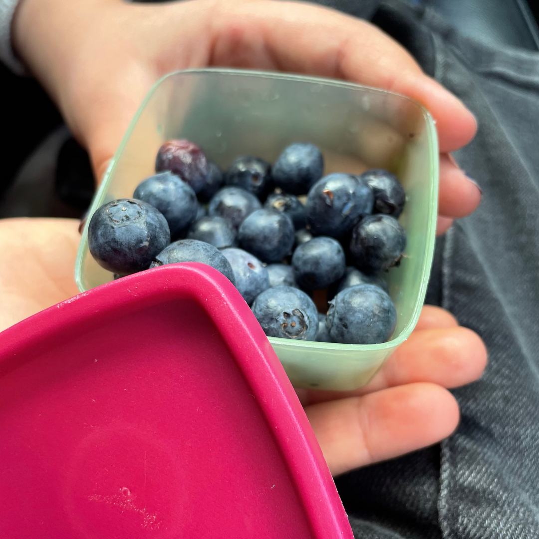 Rice - Kleine Lebensmittelboxen - Mehrfarbig - 12er Pack