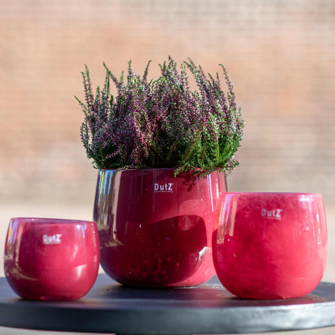 Rote Glas-Übertöpfe Pot, in verschiedenen Höhen mit Blumen von DutZ